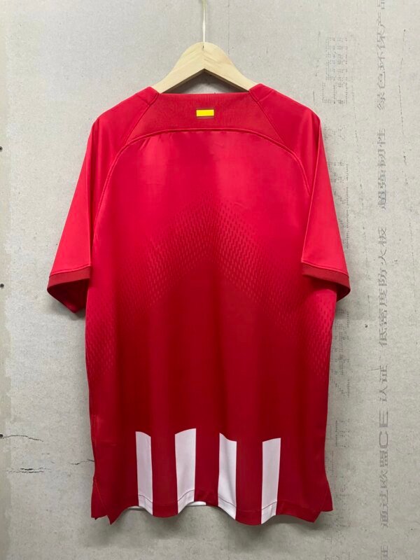 23-24 Atletico Madrid Home Fans Jersey - Image 5