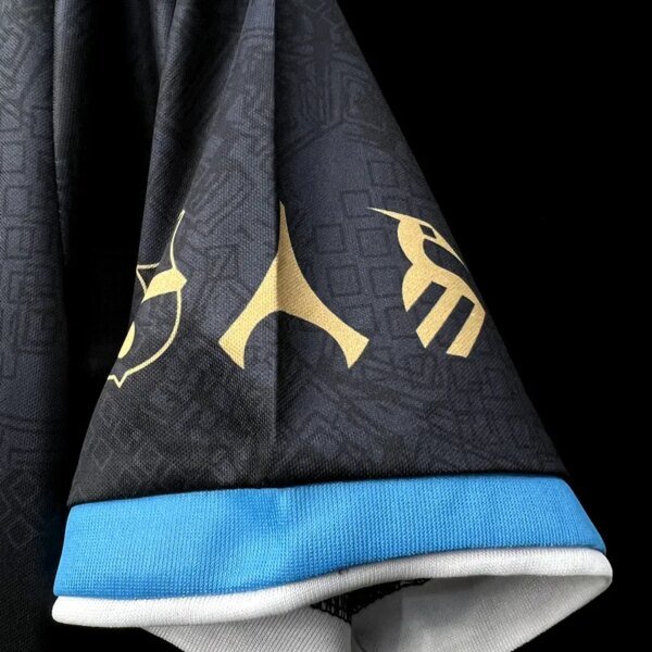 23-24 Argentina Special Fans Jersey - Image 3